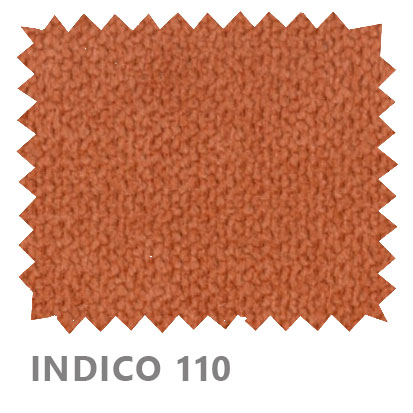 Indico 110